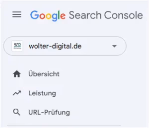 Google Search Console auswahl
